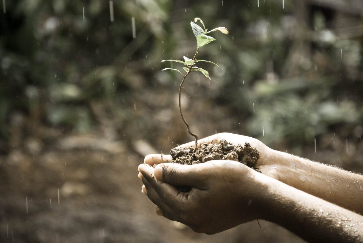Grow2Serve